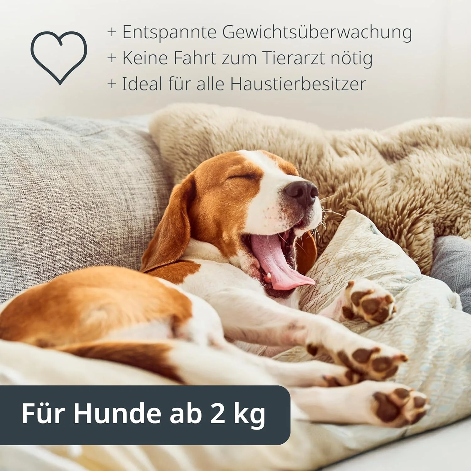 ADE Digitale Tierwaage bis 100 kg | grosse Hundewaage XL | extra leicht und flach | pfotenfreundlich - Image 4