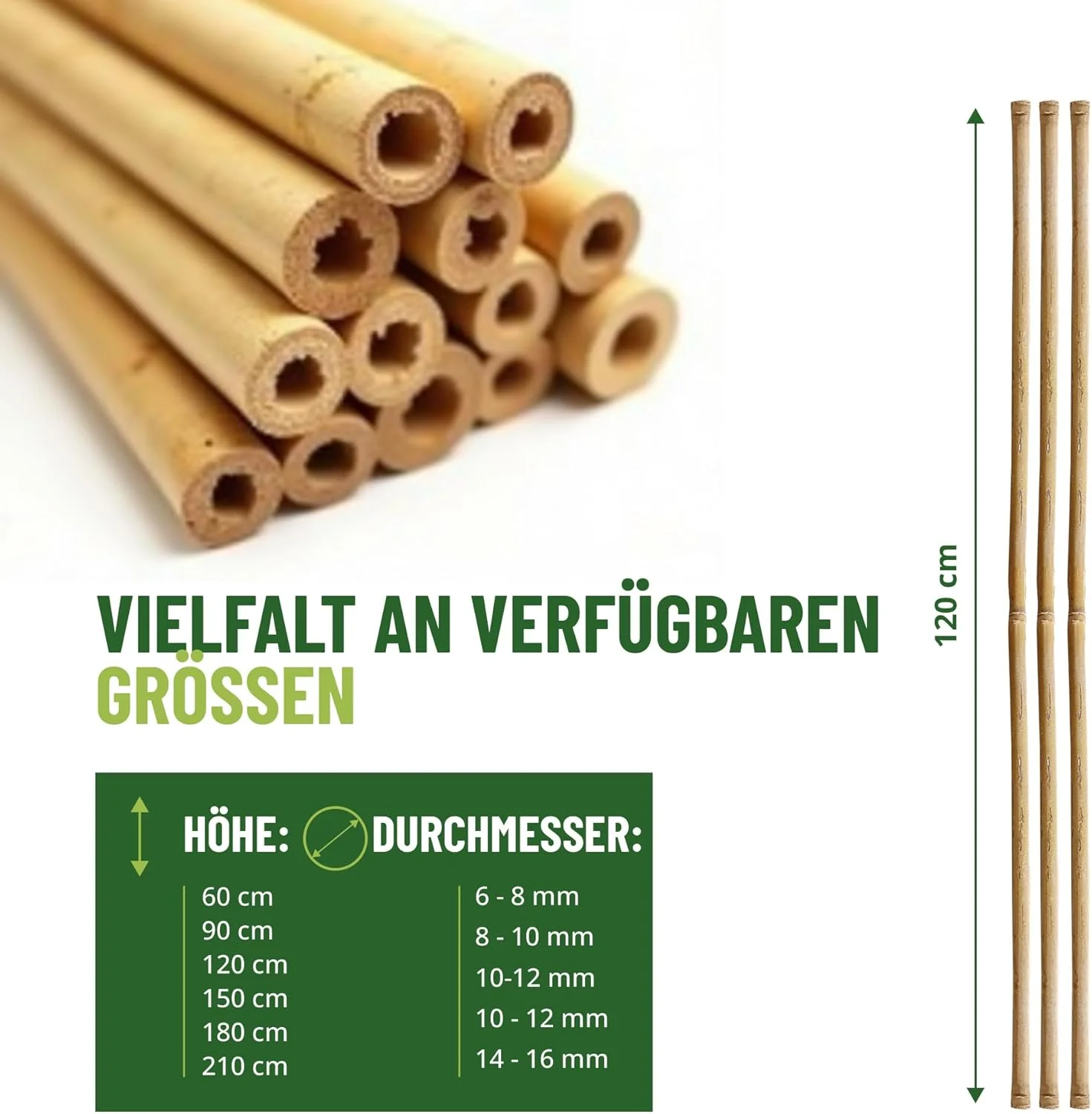 Control Garden Pack 30 Stück Bio Bambus Tutor 120 cm | Naturpfahl Zuckerrohr Pflanzenhalter Gartenst - Image 4