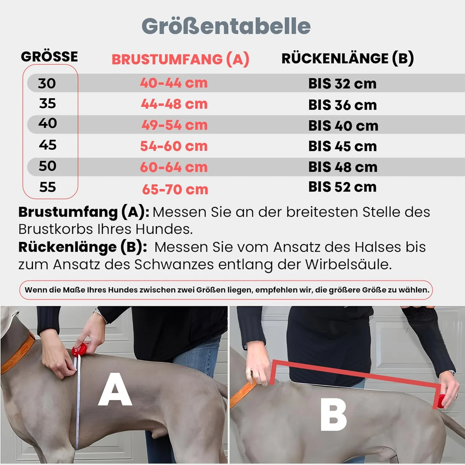 DOGOPAL Regenmantel Hund mit Integriertem Geschirr – Wasserdichter Hunderegenmantel, Winddichter Hun - Image 5