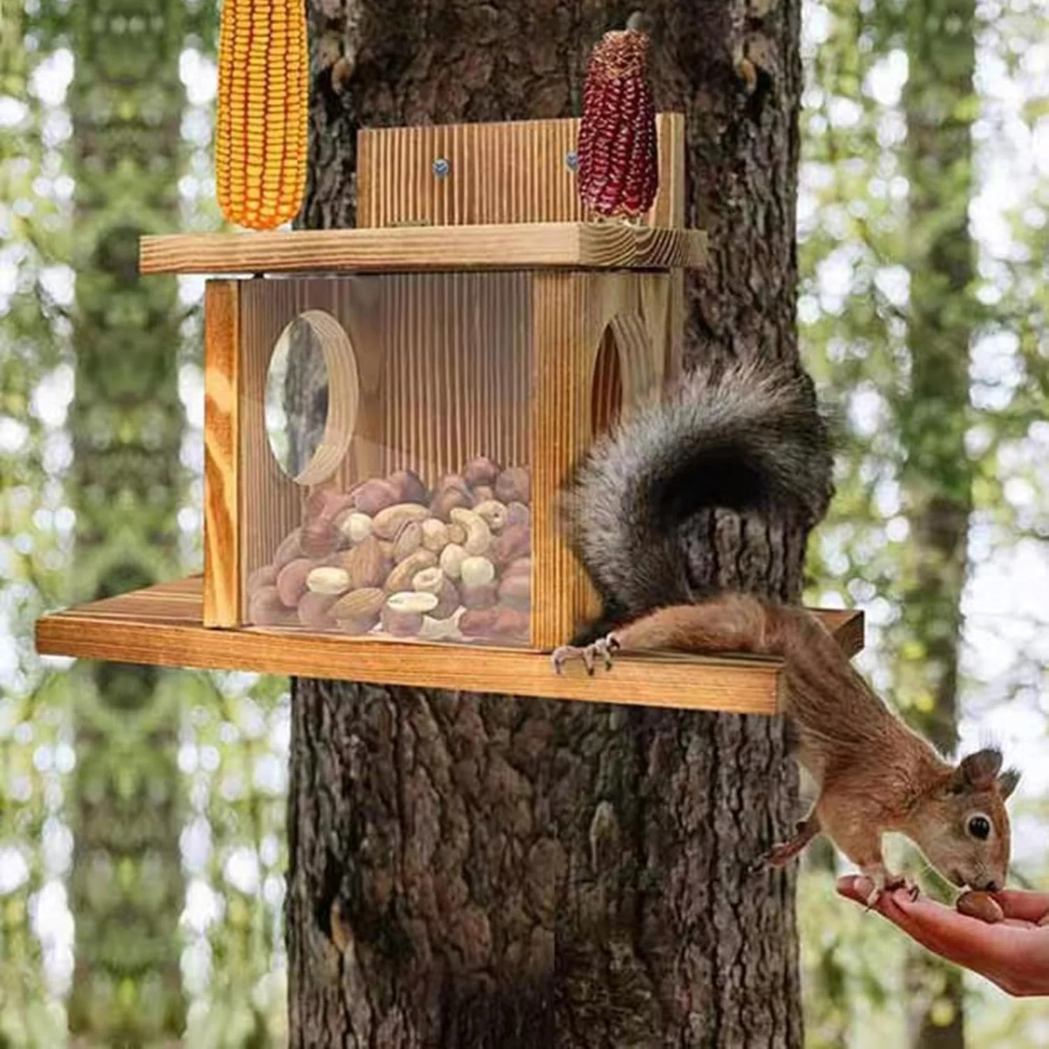 -Eichhörnchen-Futterspender, Eichhörnchen-Futterspender für draussen,Hinterhof-Nussstangen-Eichhörnc - Image 3