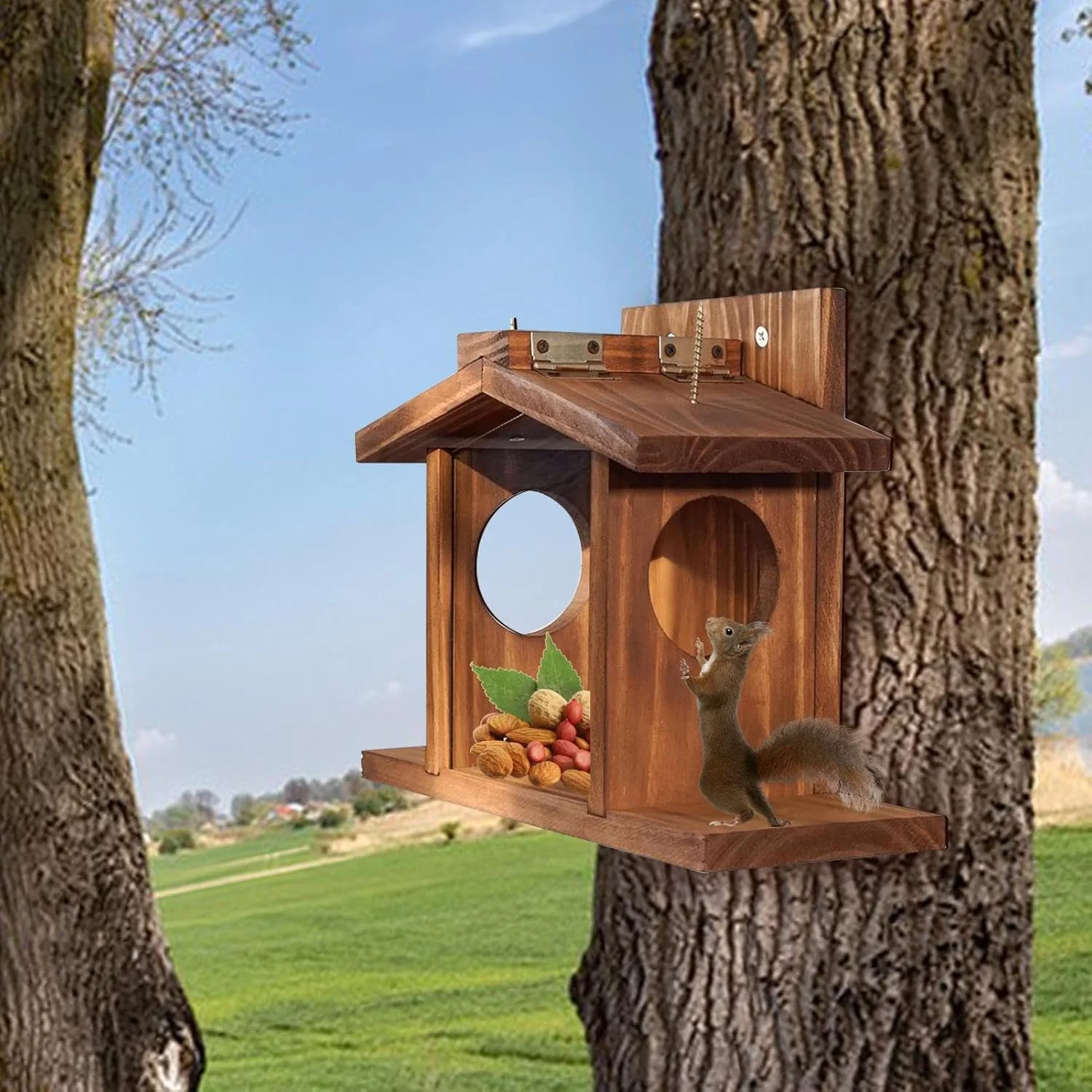 Eichhörnchen-Futterstation | Eichhörnchenhaus | Eichhörnchen-Futterspender für den Aussenbereich | F - Image 5