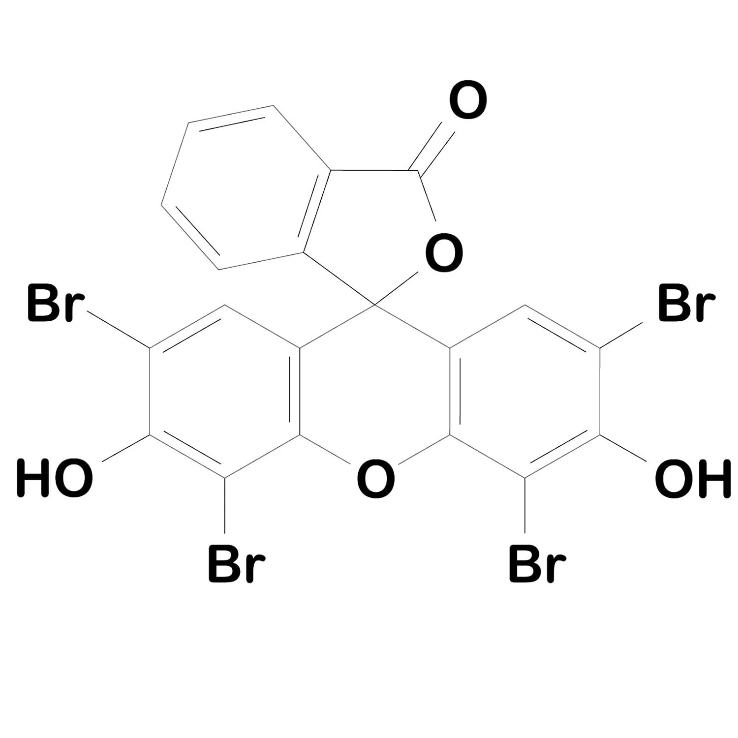 Eosina Y-Farbe (25 ml) - Euromex - Image 2