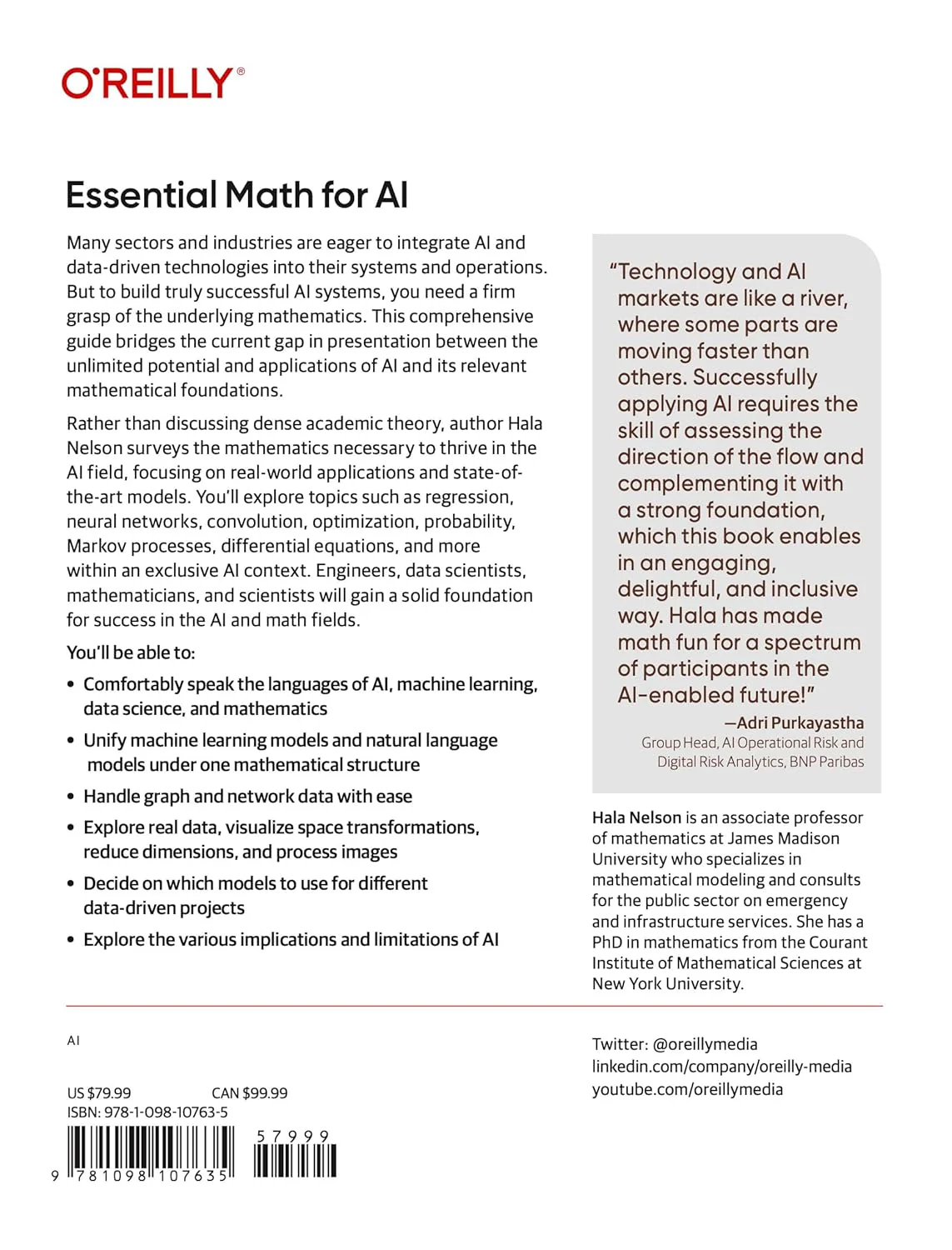 Essential Math for AI: Next-Level Mathematics for Efficient and Successful AI Systems - Image 2