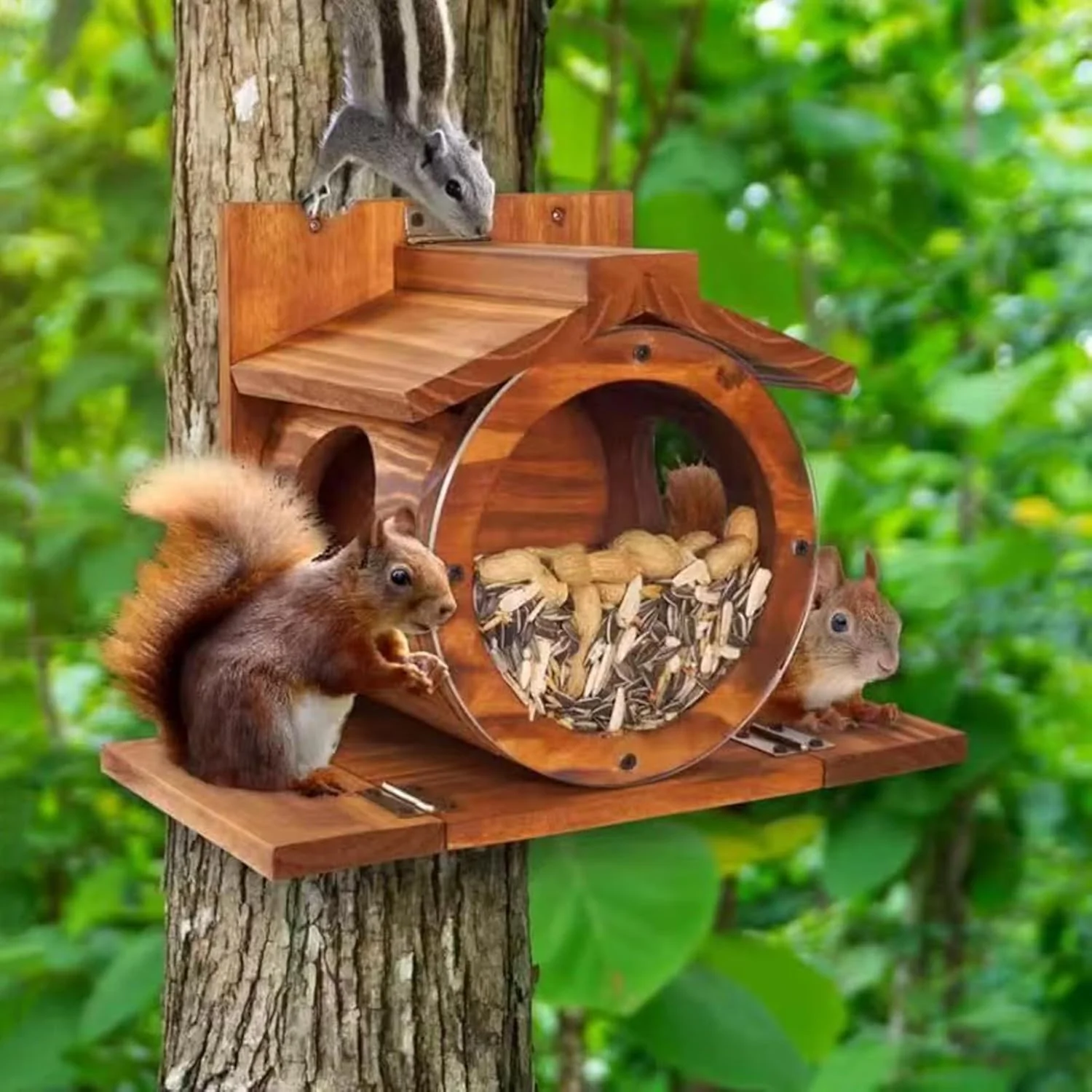 Futterhaus Eichhörnchen Wetterfest | Holz Eichhörnchen Futterstation mit Belüftungslöchern, 33x17x24 - Image 3