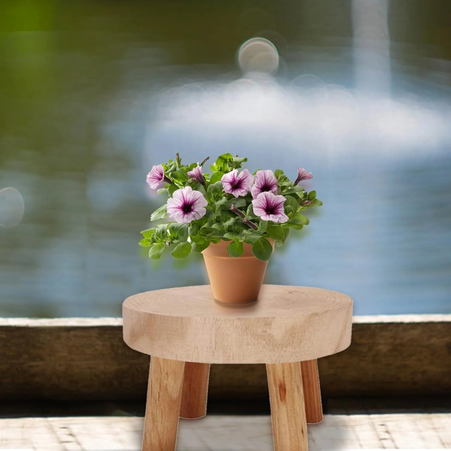 Generisch Blumenhocker Holz,Tritthocker,Fussbank Aus Naturholz,Runder Pflanzenhocker Outdoor,Pflanze - Image 3