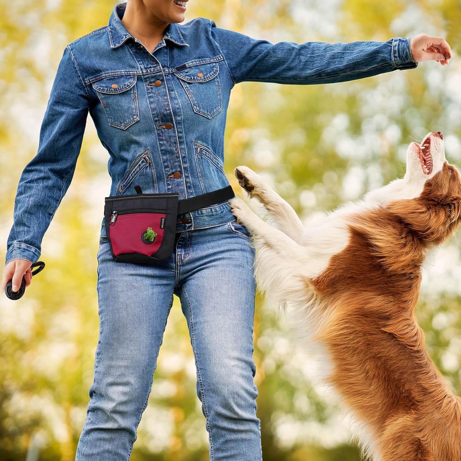 Gobeigo Leckerlibeutel für Hundetraining, Leckerli-Beutel für Welpen, Snackbeutel Schwarz/Rot, Schwa - Image 5