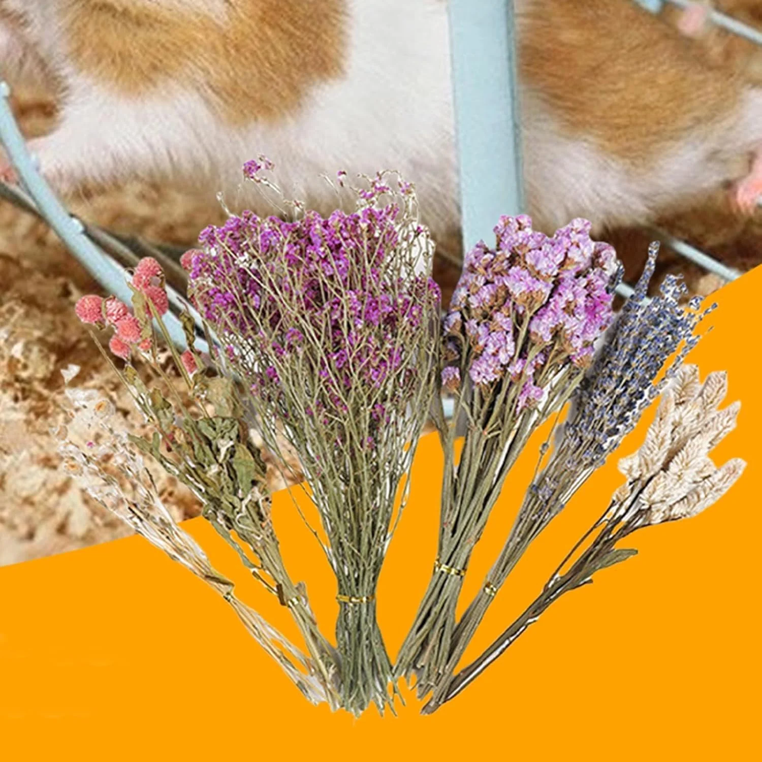 Hamster-Heublumen-Einstreu, Blumen-Hamster-Einstreu | Geblümtes Hamsterkäfig-Zubehör | Hauskäfig-Dek - Image 8