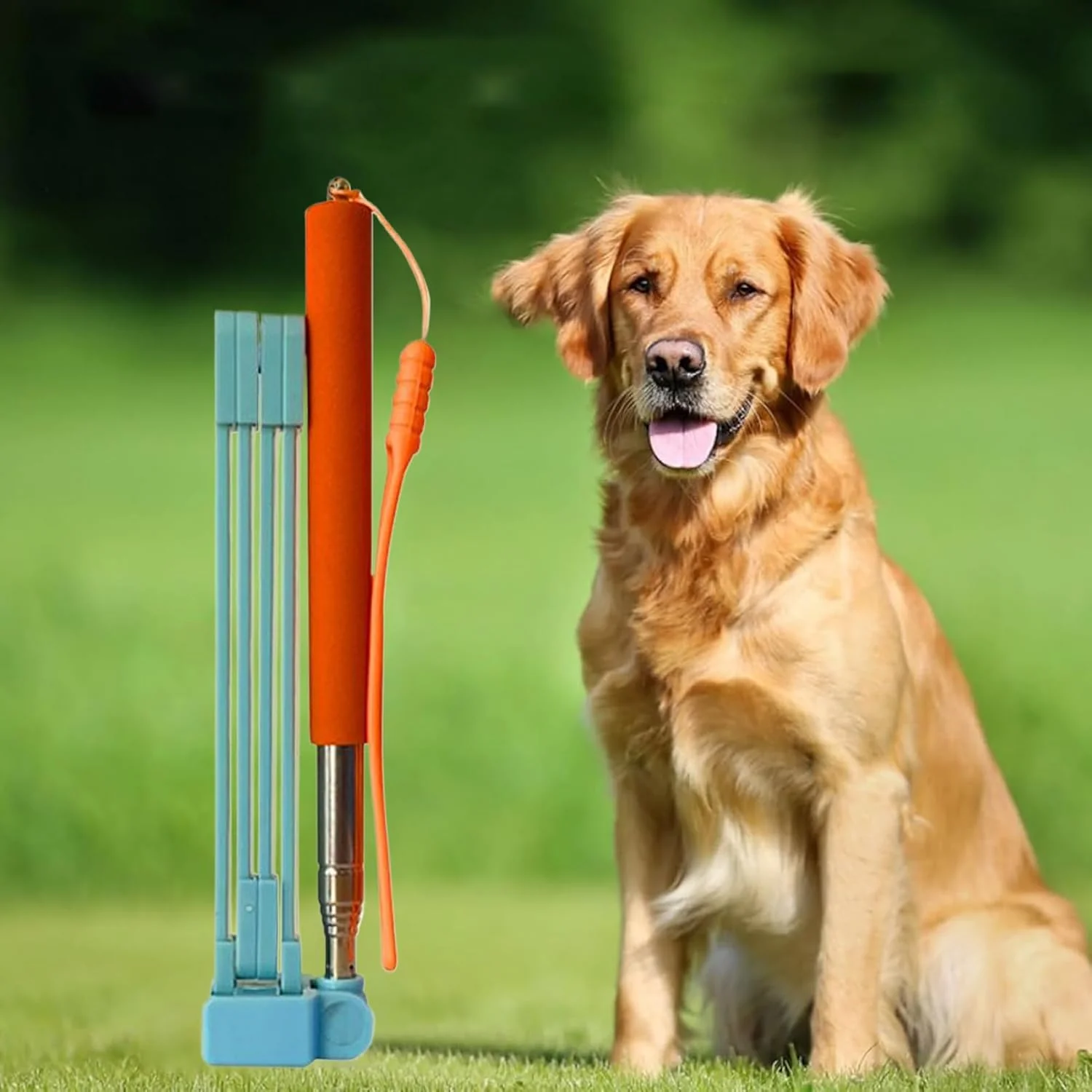 Haustierkotschaufel, Kotaufnehmer für Hunde, Teleskop-Reinigungszubehör mit Müllbeutel, Abfallentfer - Image 3