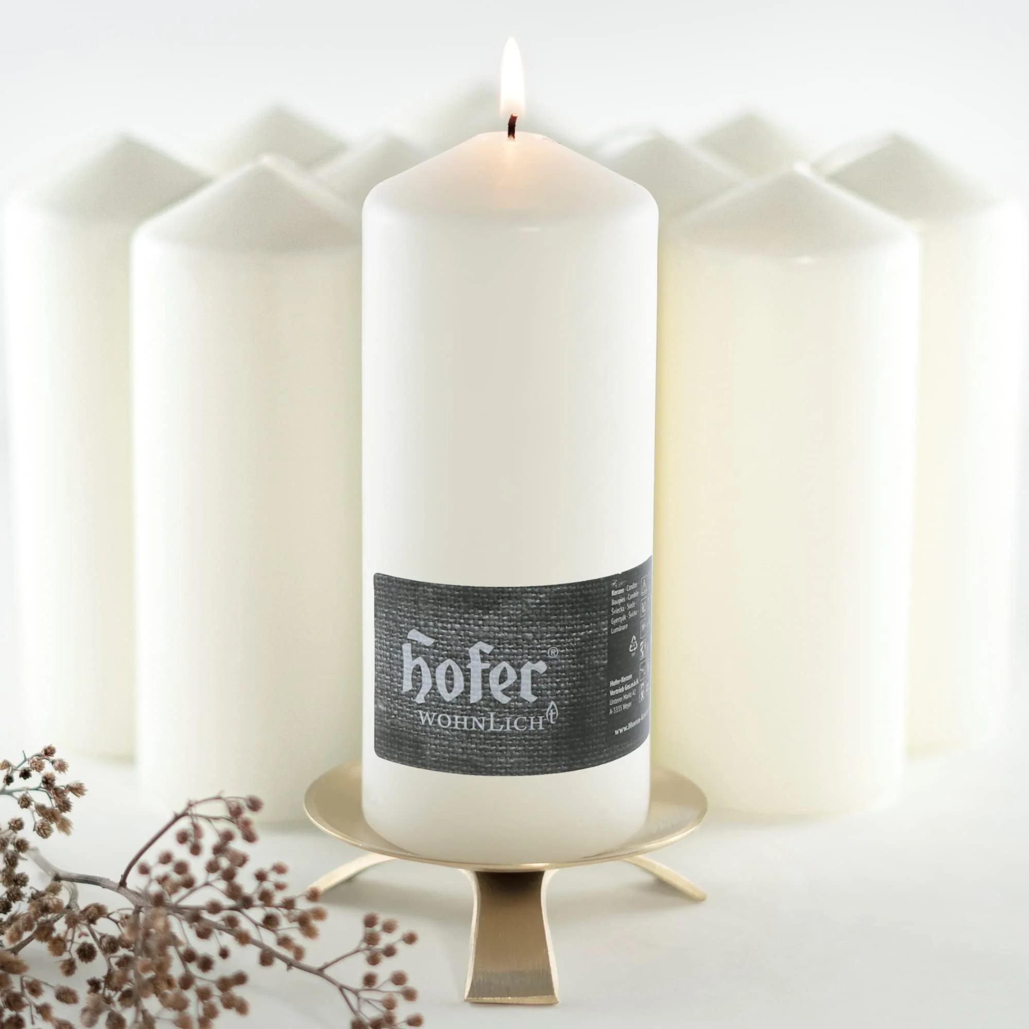 HOFER STUMPENKERZEN 68 x 170 mm – elfenbein, creme, champagner | besonders lange Brenndauer ca. 67 S