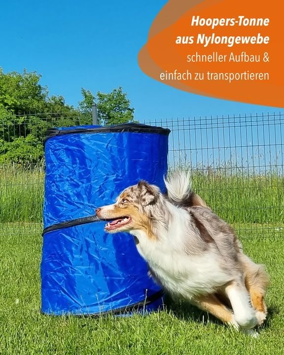 Hoopers Profi-Set – VDH-konform & UV-beständig – 3X Blau & 3X Gelb – Komplett-Set mit 6 Hoops, 2 Gat - Image 3