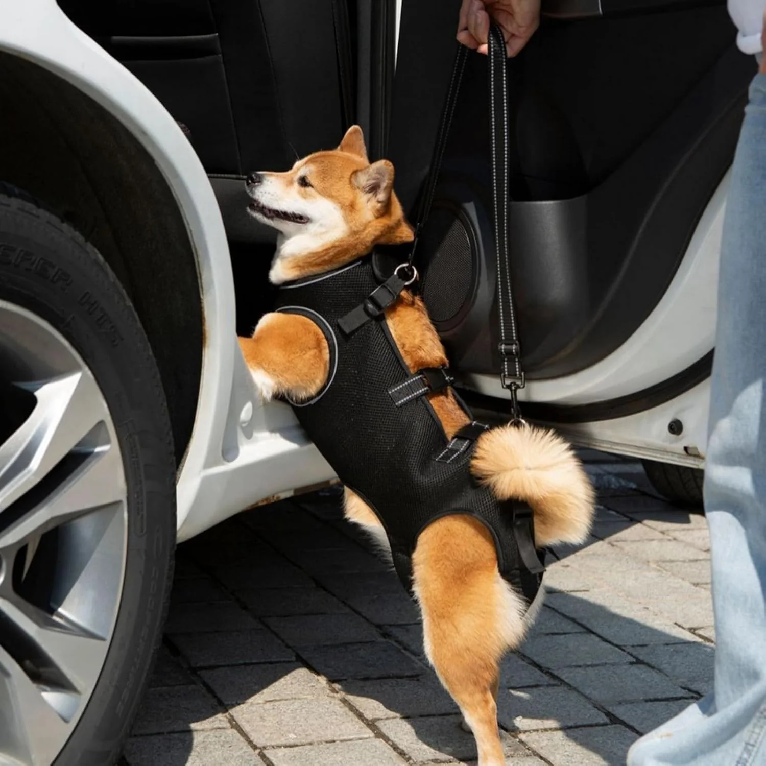 Hundegeschirr Zum Tragen - Hunde Geschirr Mit Beinstütze & Tragegurt für Welpen | Atmungsaktive Trag - Image 2