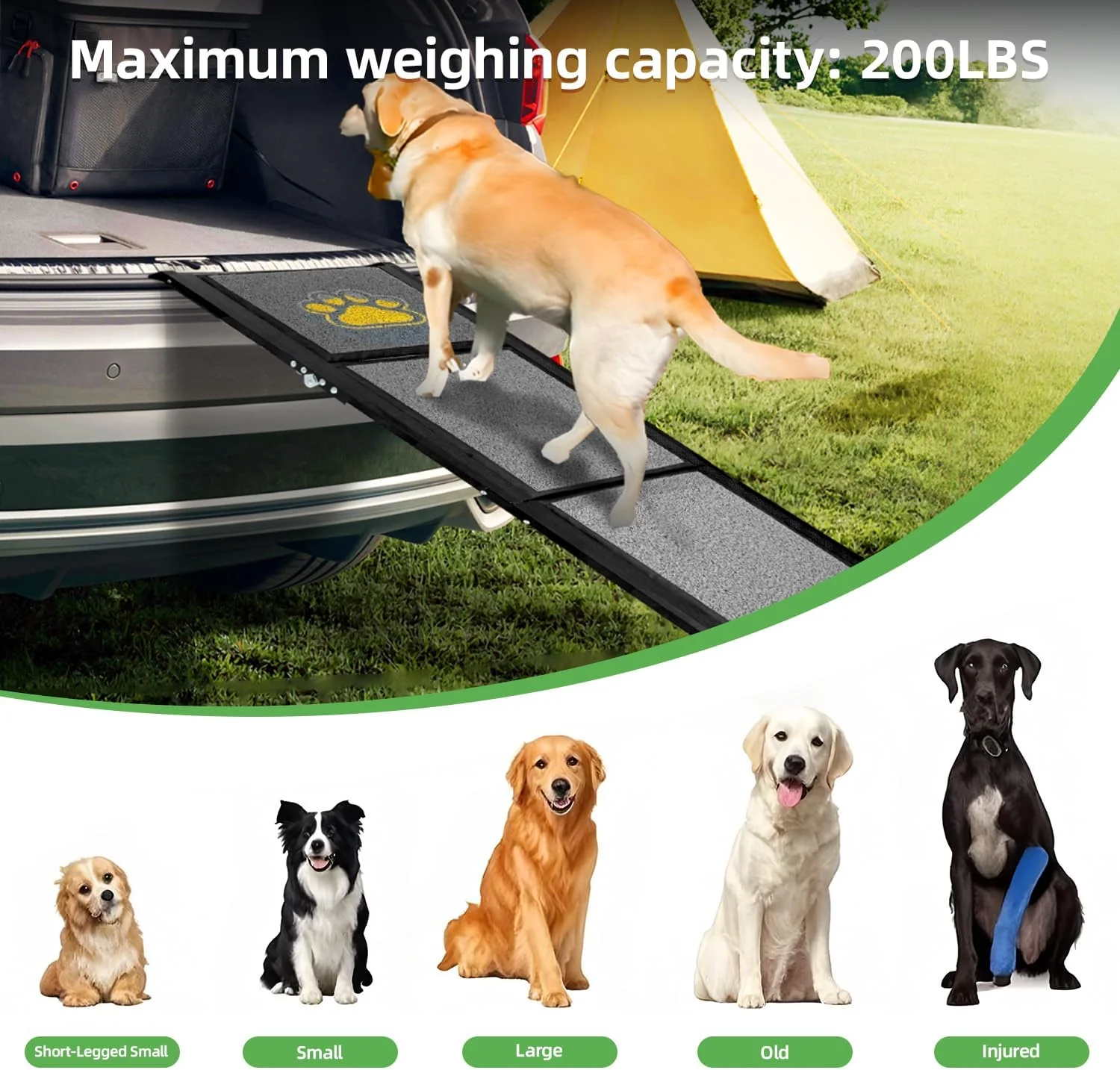 Hunderampe Auto Klappbar Extra Lang 170 cm Hundetreppe Auto mit Rutschfester Teppichoberfläche für K - Image 7