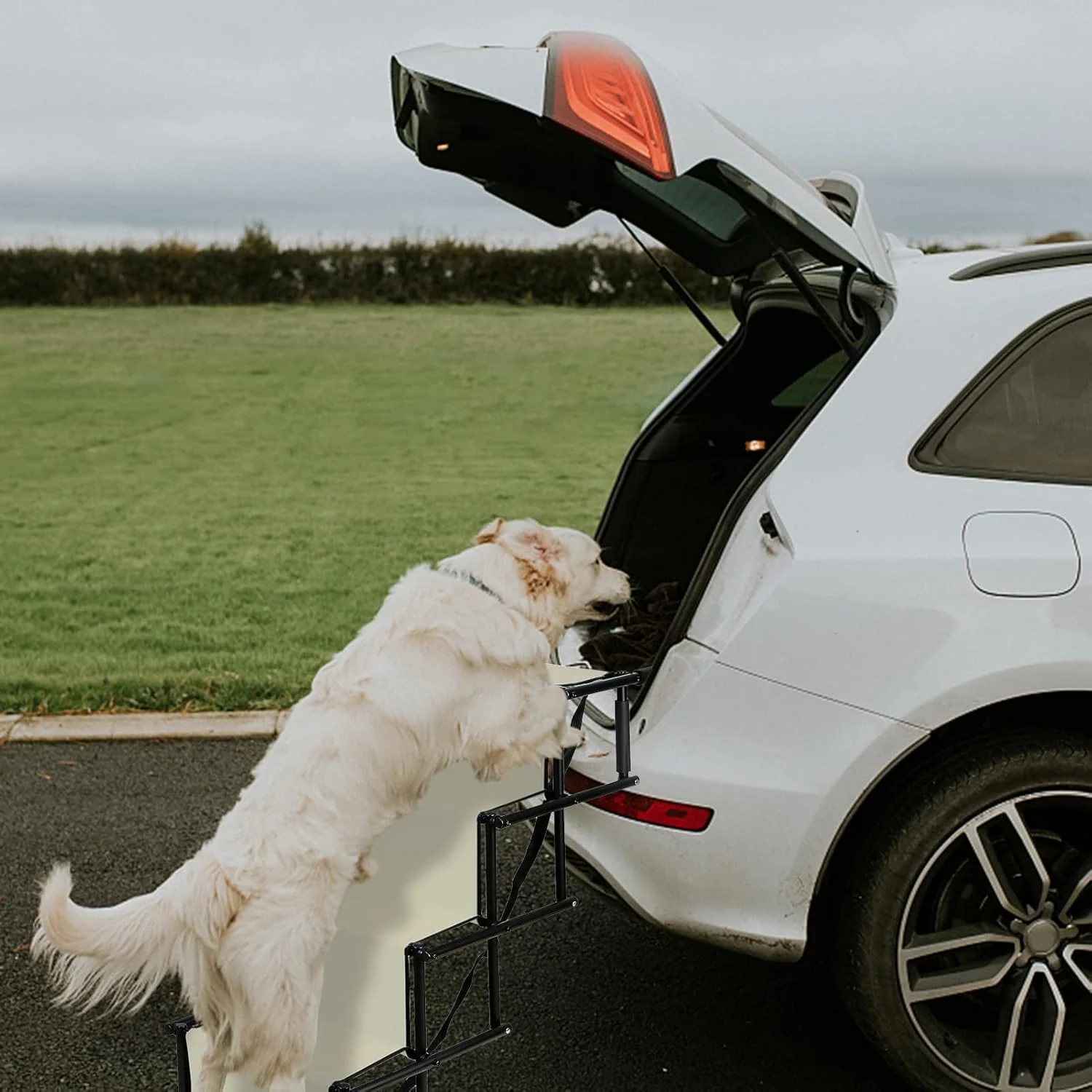 Hunderampe für Hunde, Treppe für grosse und kleine Hunde, Hunderampe für Auto, Sofa oder Bett, rutsc - Image 3