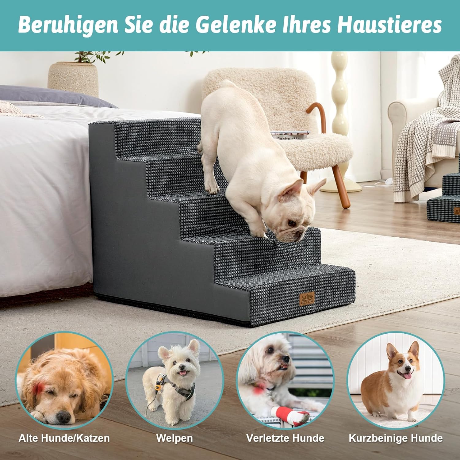 Hundetreppe für Kleine Hunde, 5 Stufen Breiter Haustiertreppe für Bett Couch Auto, 60cm Hoch Hochdic - Image 6