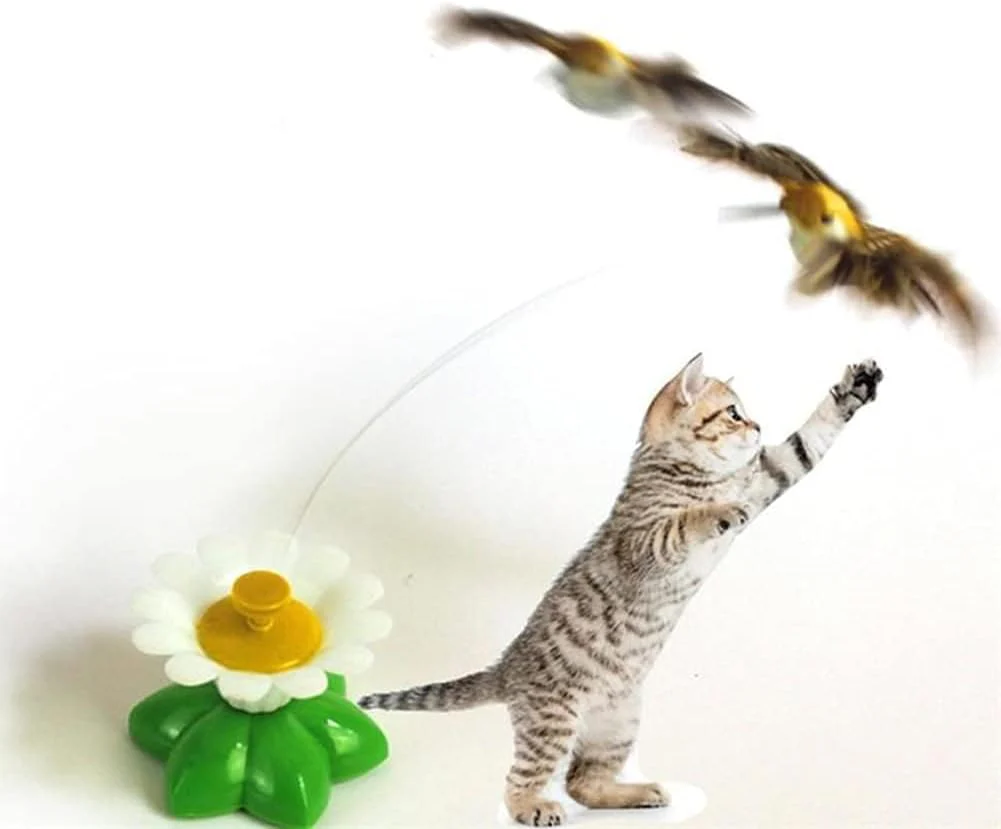 Interaktives Spielzeug, automatische rotierende Katze, elektrischer Vogel, ideal für Unterhaltung un - Image 3