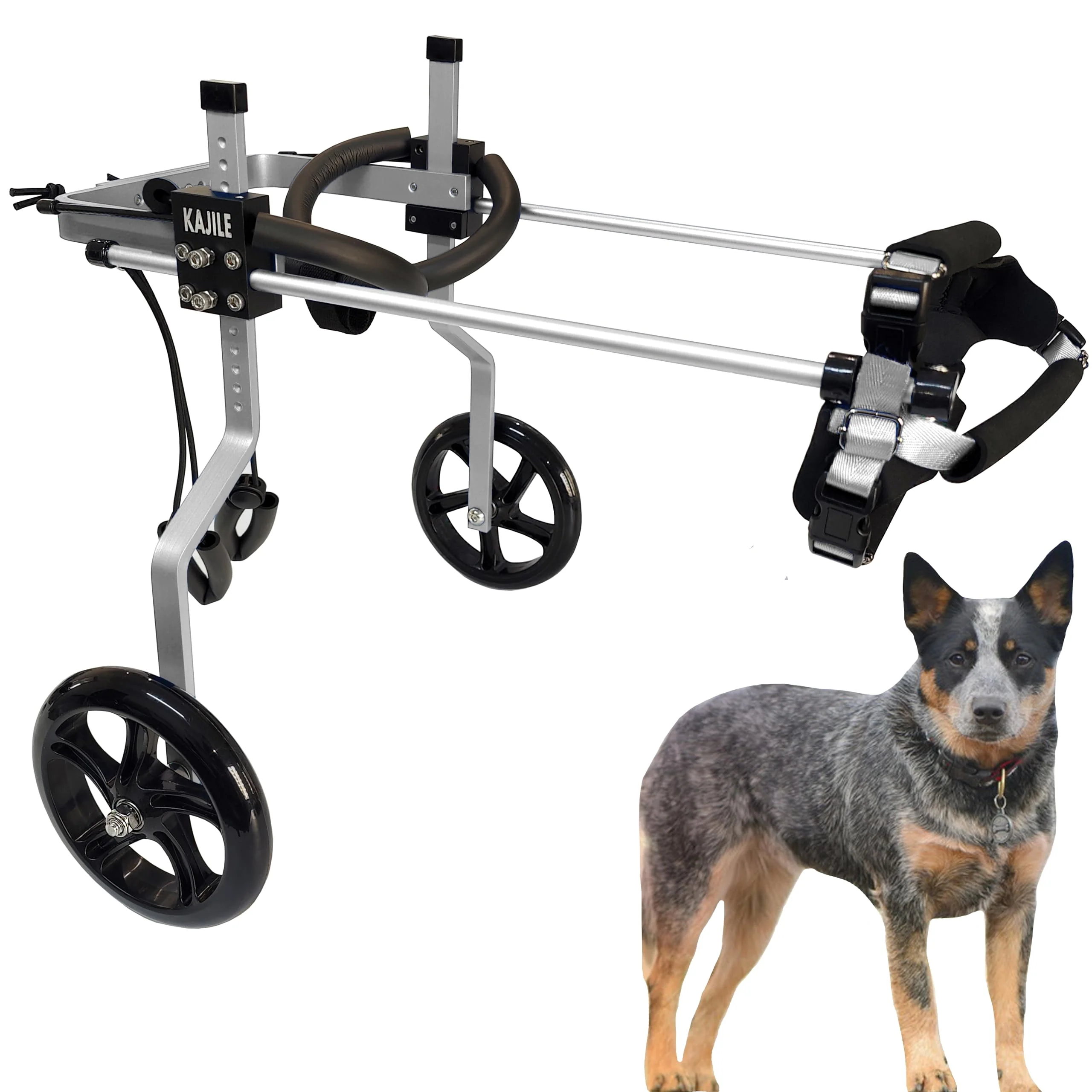 KAJILE Verstellbarer 2-Rad-Hunderollstuhl, M-1 Grösse für behinderte Hund Hinterbeine Rehabilitation