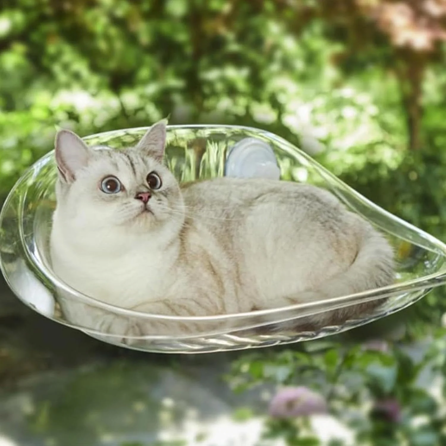 Katzen Hängematte für Fensterplätze - Sommer Abkühlen, Klappbar, 50x30cm, Stabil Saugnäpfe bis zu 10 - Image 7
