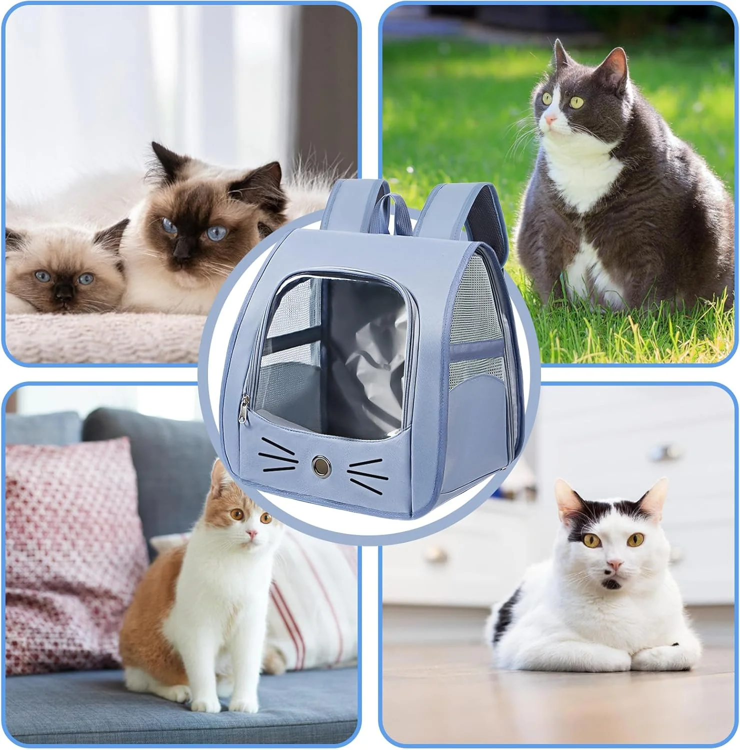 Katzenrucksack, Hunderucksack, Haustier Rucksack Katzen Rucksack Rucksack Für Katzen Haustierrucksac - Image 4