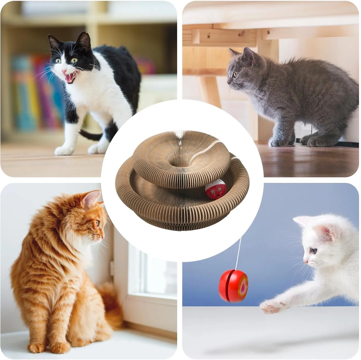 Kitty Katzenkratzbrett – Faltbares Katzenkratzbrett Mit Bällen, Rundes Katzenakkordeonspielzeug, Int - Image 7