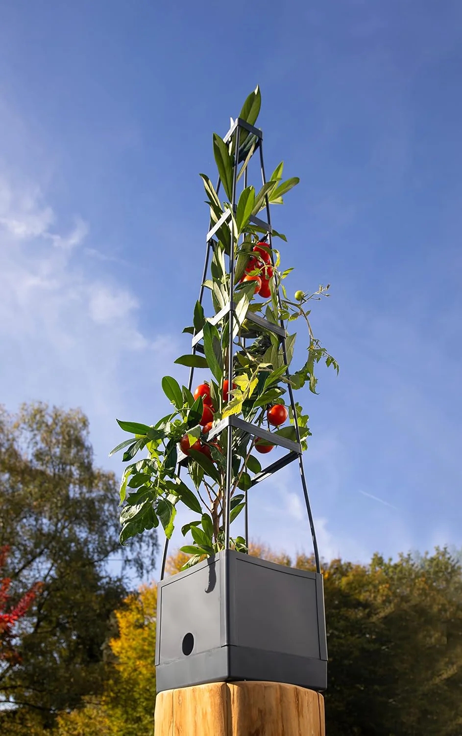 Meister Pflanzturm 150 x 25 x 25 cm - Für Tomaten & Rankgewächse - Mit Rankhilfe - 2,5 L Wassertank - Image 3