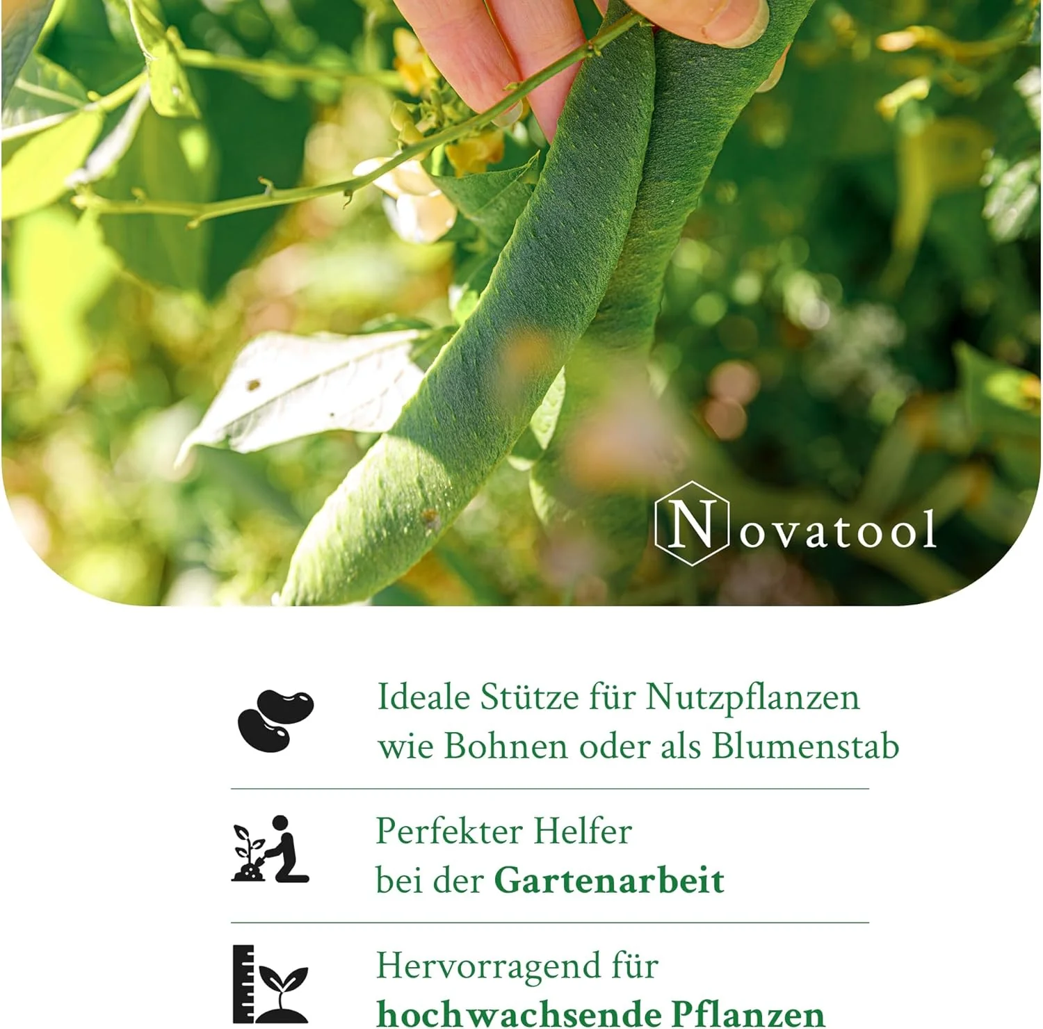 Novatool 1000x Splittstäbe 40 cm x 4 mm I Natur I Blumengitter Rankgitter Gitterspalier Topfpflanzen - Image 5