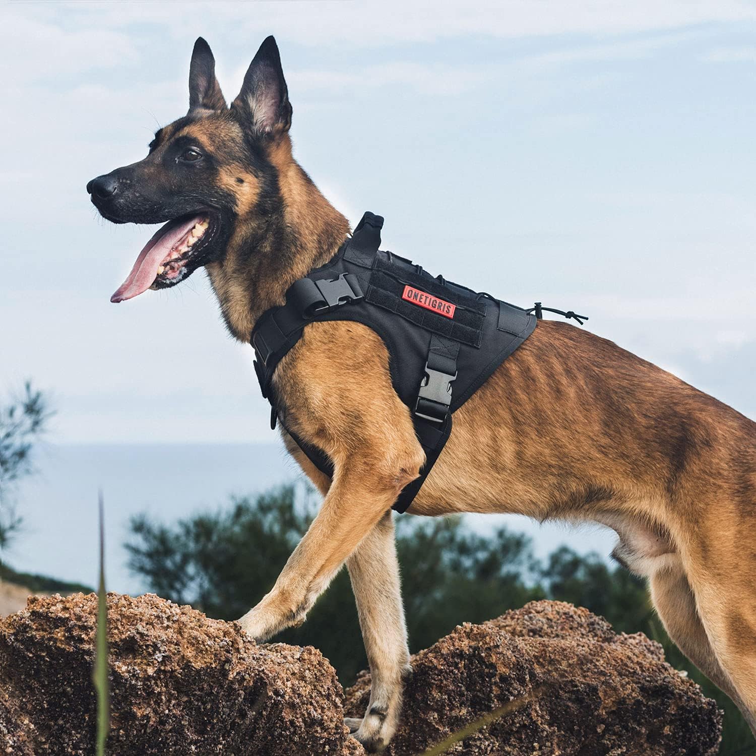 OneTigris Taktische Hundeweste Service Hundegeschirr MOLLE Hundeausbildung Geschirr 1000D Nylon (L, - Image 8