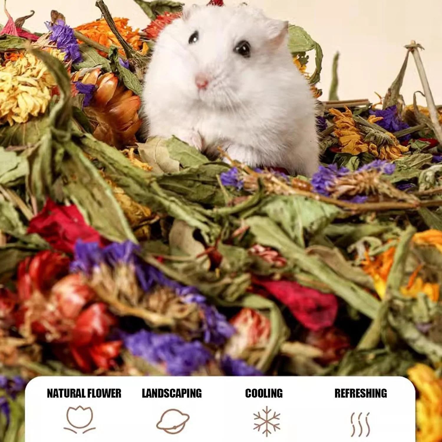 Opdestn Hamster Heublumen Einstreu, 100g Natural Flower & Herbes for Hamster Bedding, Trockenblumen - Image 2