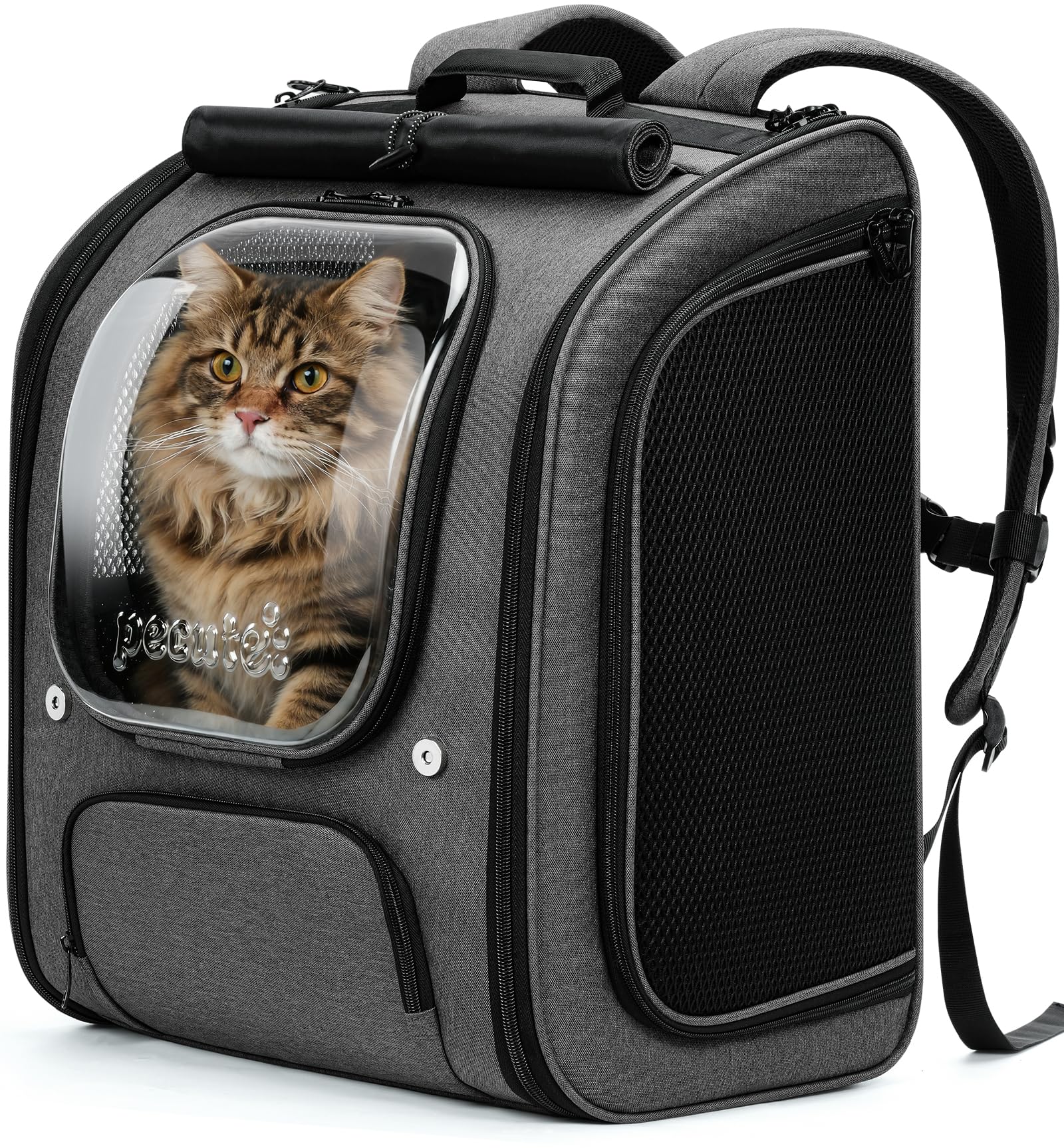 pecute Katzenrucksack Bubble Haustier Rucksack mit Netzfenster, Tragbare und Faltbare Katzentasche,