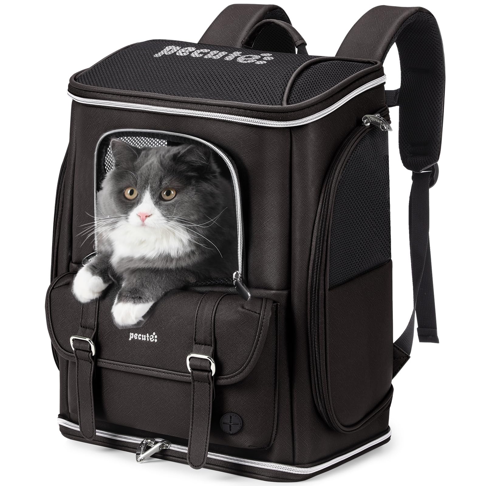 pecute Katzenrucksack Hunderucksack PU Haustier Rucksack, Belastung Verringern Hundetasche,Atmungsak