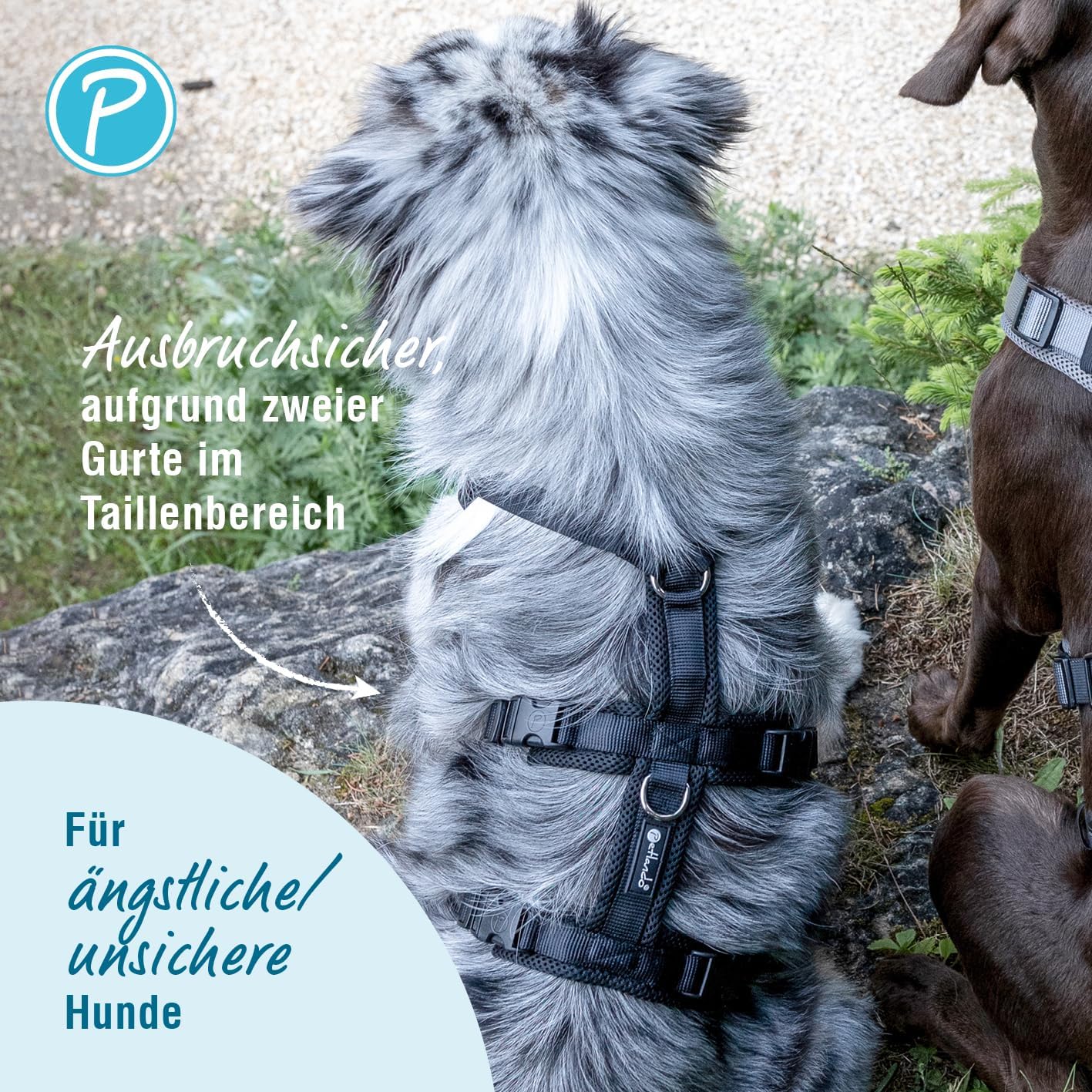 Petlando Sicherheitsgeschirr für ängstliche Hunde mit atmungsaktivem Mesh, ausbruchsicher, Y-Hundege - Image 3