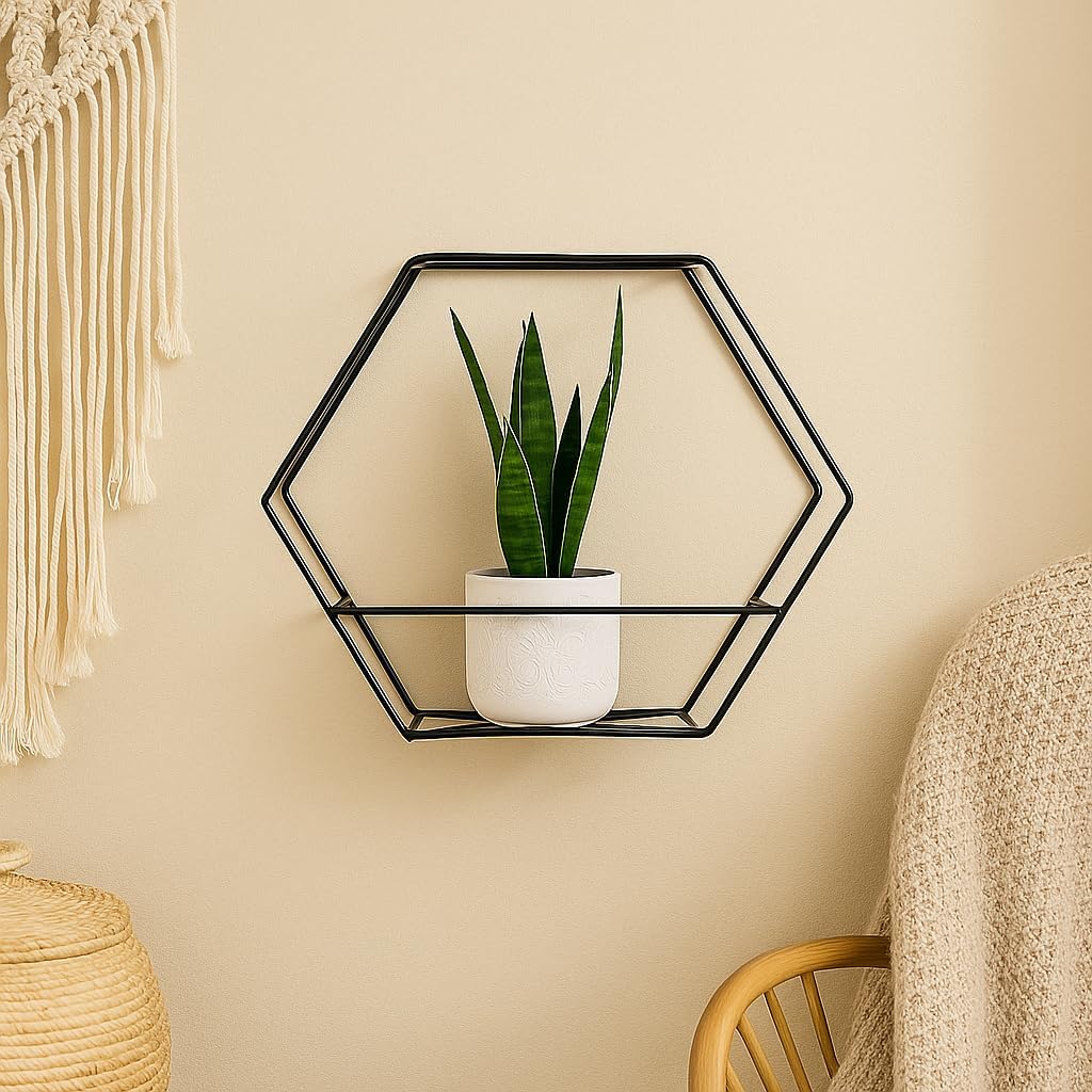 Pflanzregal Wand - Blumenhalter Hängend - aus Metall, Moderne Wand Deko für Wohnzimmer, Jugendzimmer - Image 5