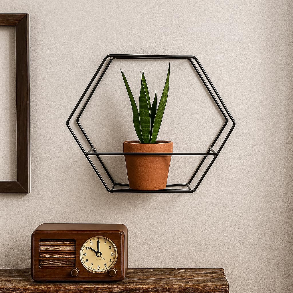 Pflanzregal Wand - Blumenhalter Hängend - aus Metall, Moderne Wand Deko für Wohnzimmer, Jugendzimmer - Image 6