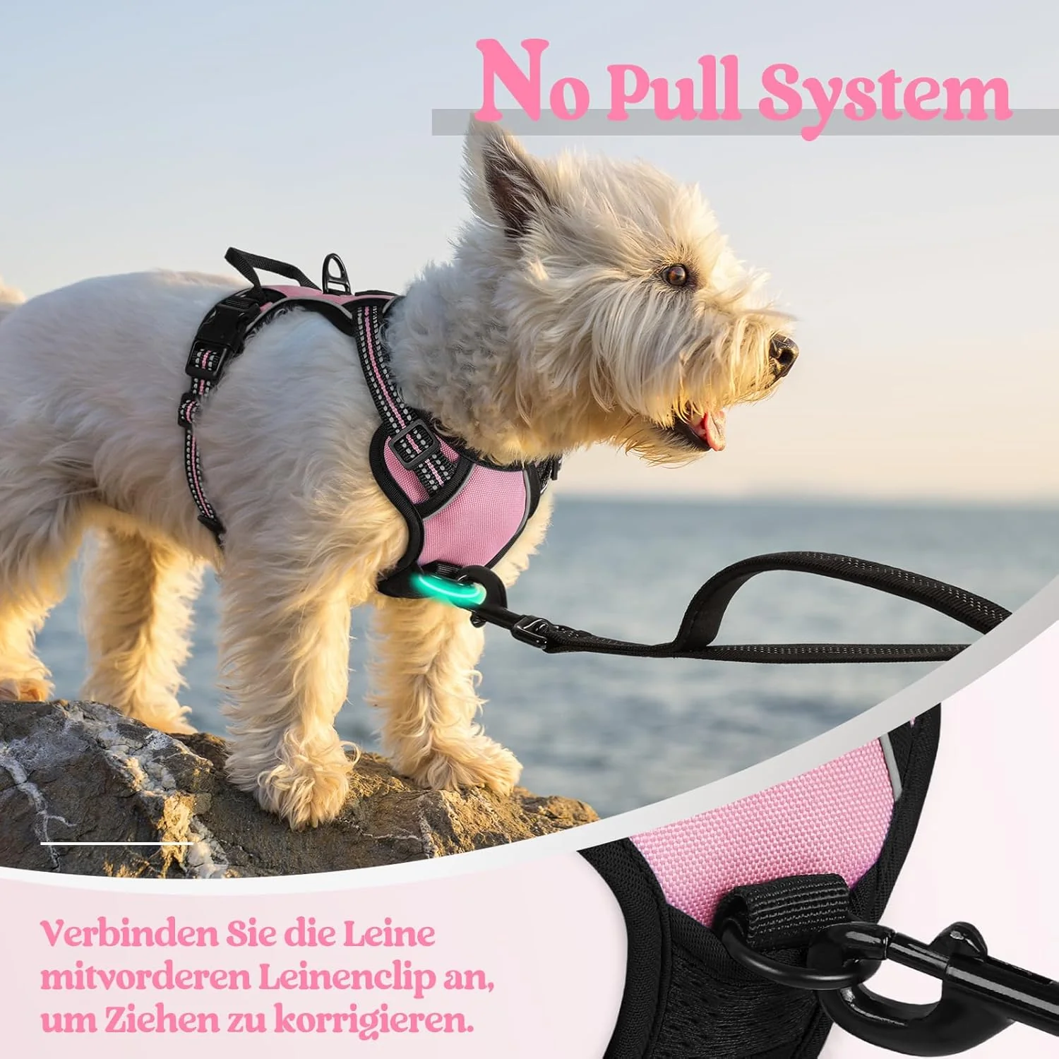 rabbitgoo Hundegeschirr Kleine Hunde Anti Zug Geschirr Hund mit Kontrolle No Pull Verstellbar Hundeg - Image 6