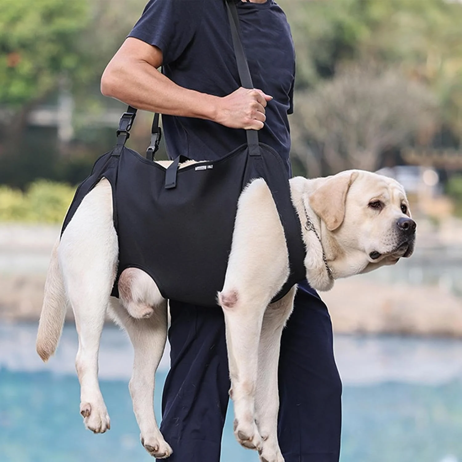 Rehabilitations-Schlinge für Haustiere, Hunde-Hebegeschirr, Unterstützung und Rehabilitationsschling - Image 2