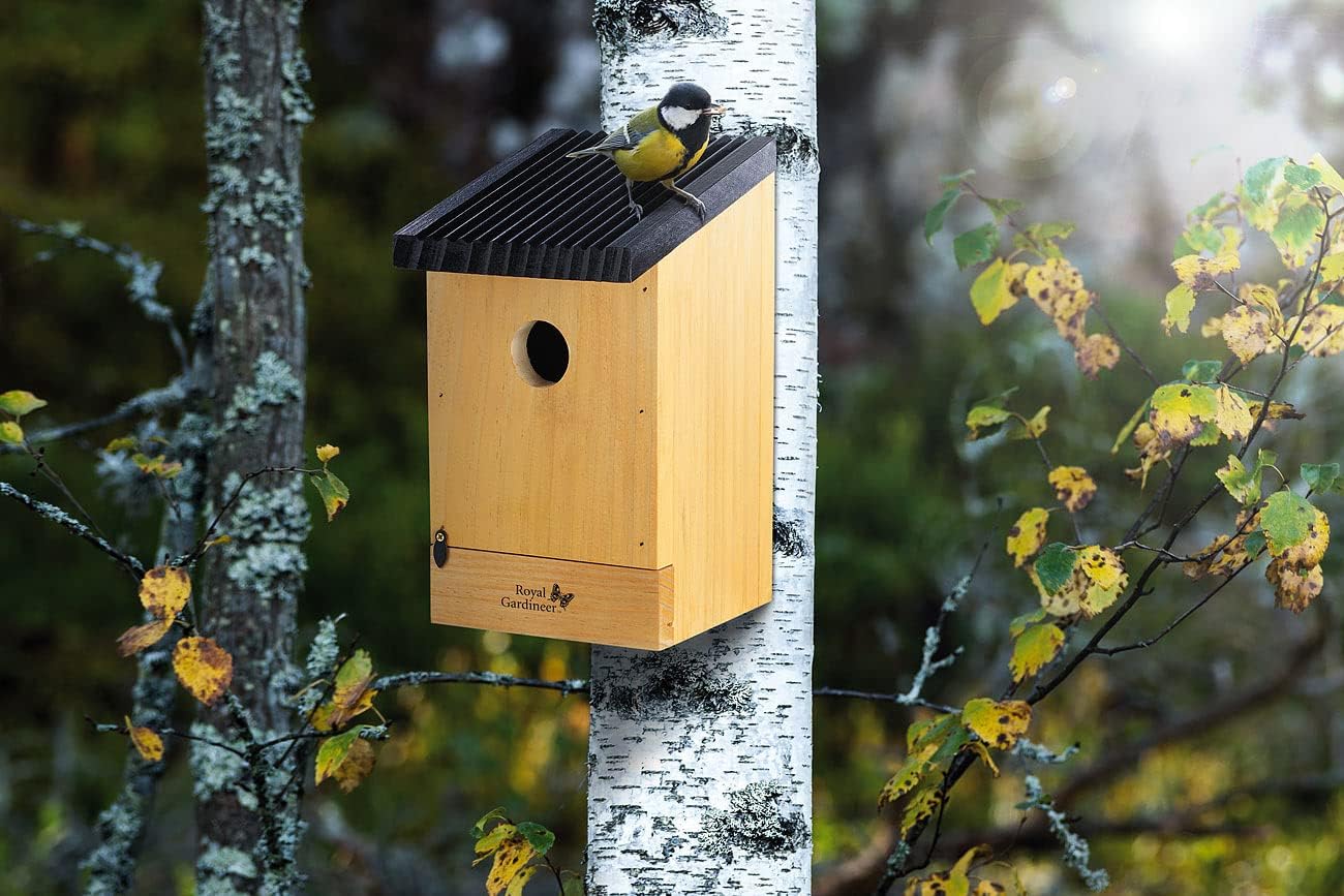Royal Gardineer Vogelhaus Holz: 8er-Set Tannenholz-Nistkästen für Wildvögel, 22x14x12 cm, vormontier - Image 3