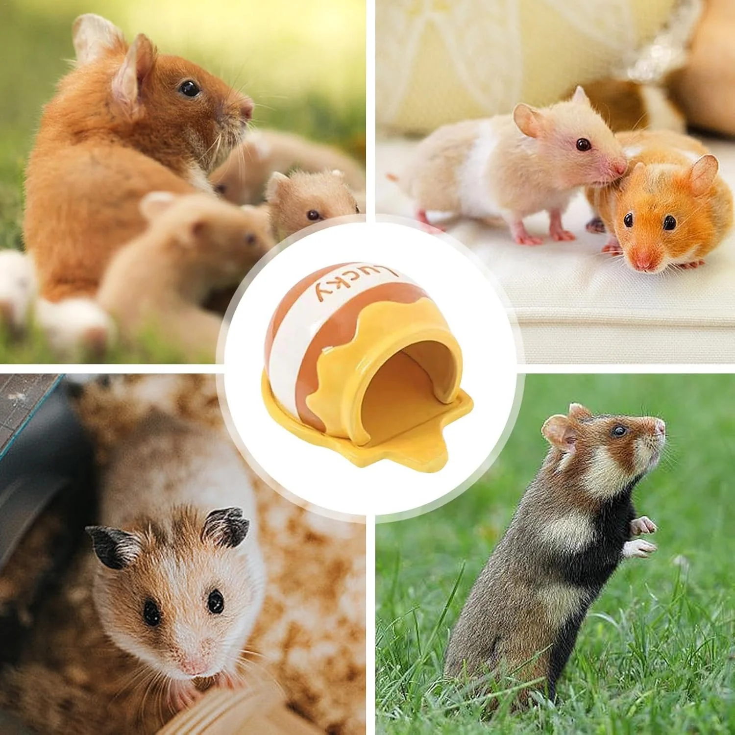 usefulbeauty Keramik-Hamsterhaus, Haustier-Hamsterhaus | Sommer-Cartoon-Hamster-Haus - Haustiernest - Image 4