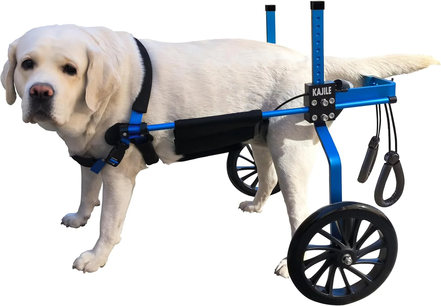 Verstellbarer 2-Rad-Hunderollstuhl, XL-3 Grösse für behinderte Hund Hinterbeine Rehabilitation, geei - Image 2