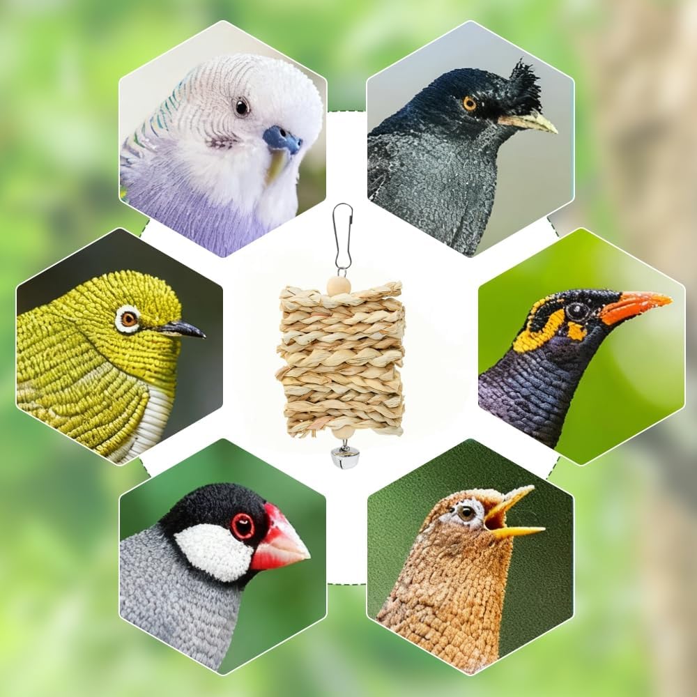 Vogel Spielzeug Käfig Papageien Spielzeug Natur 19 Stück Vogelspielzeug Hängend Vogel zubehör Hängem - Image 8