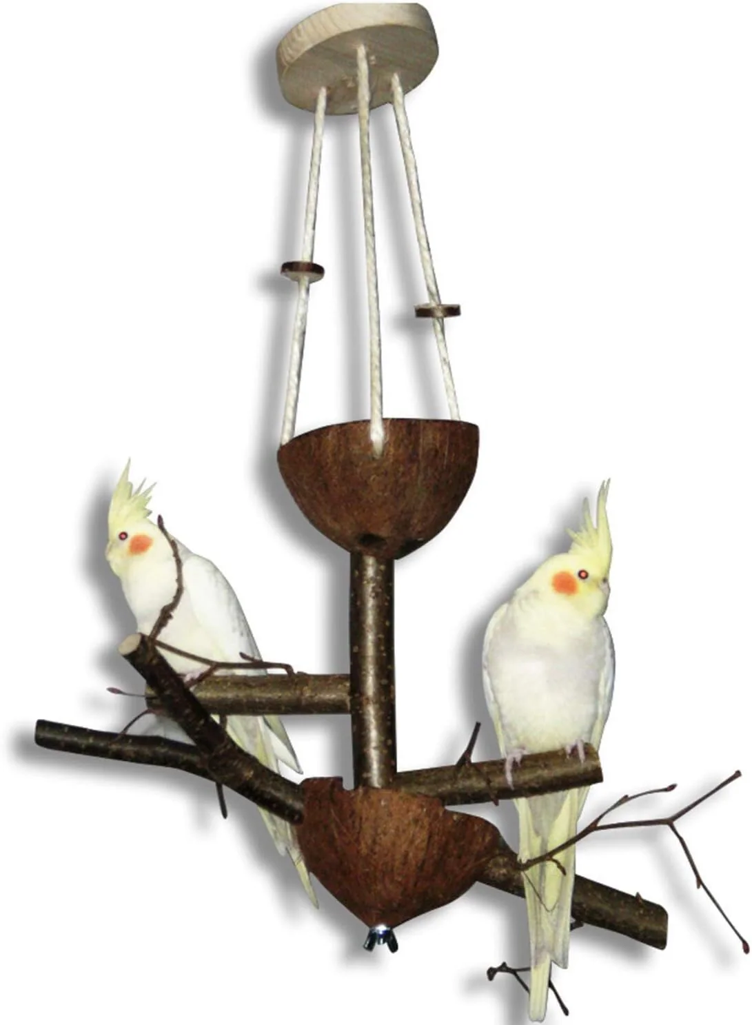 Vogelgaleria® Vogelspielplatz mit Sitzstangen aus Naturholz und zwei Futterschalen aus Kokosnuss | F - Image 6