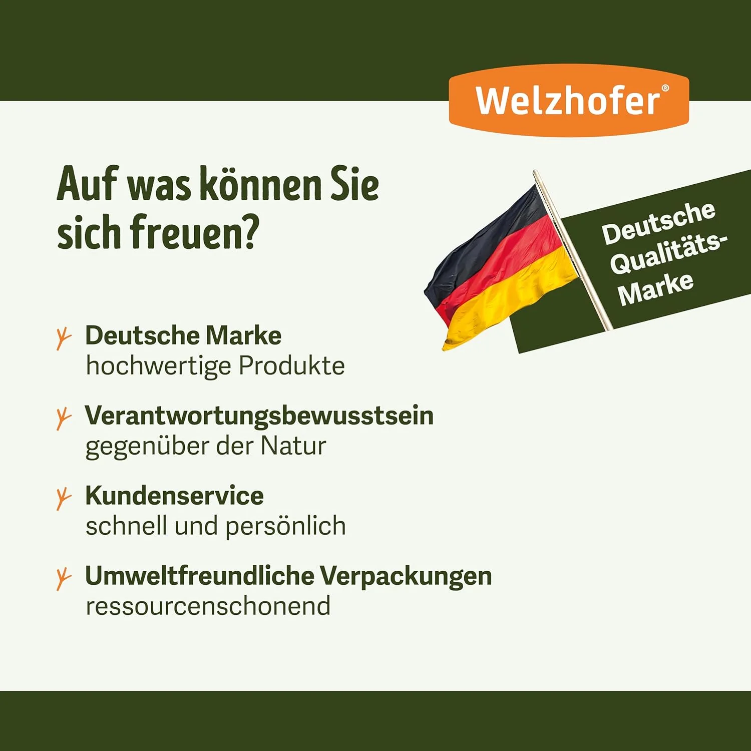 Welzhofer Nistkasten David, Halbhöhle Vogelhaus, handgemacht in Europa, für Hausrotschwänze, Bachste - Image 5