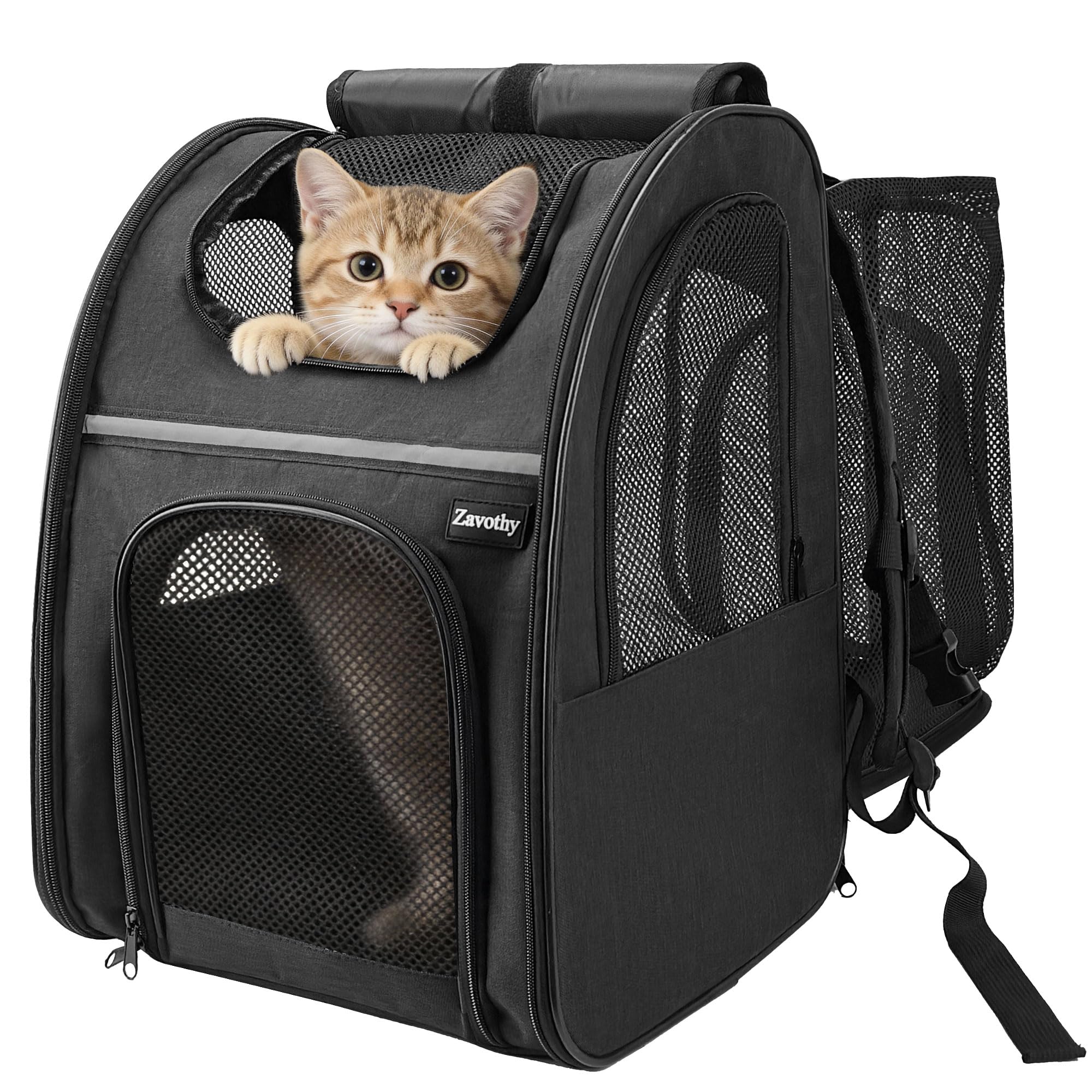 Zavothy Haustier Rucksack für Katzen und Hunde, Tragbar und Faltbar, mit Netzfenster und Gepolsterte