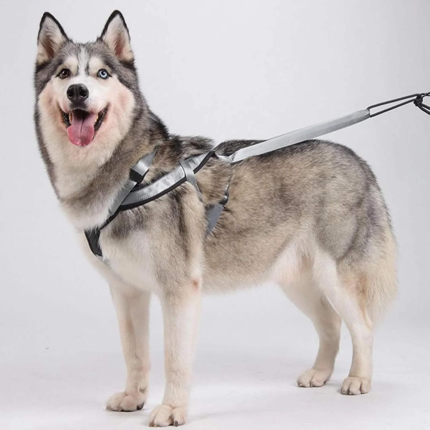 Zuggeschirr für Hunde | Reflektierendes Laufgeschirr für Hunde – Verstellbarer Gurt für Übung, Sport - Image 6